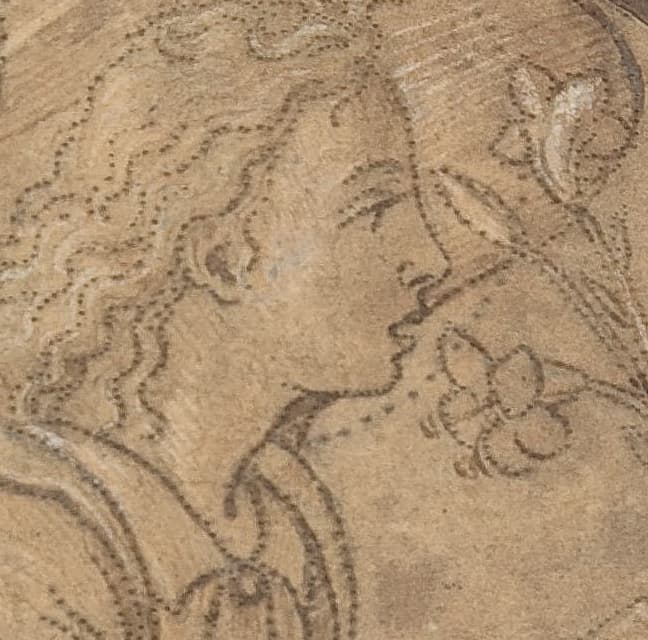 輪郭に沿った穴（プリック）と、木炭粉の痕跡（ポンシング）の拡大